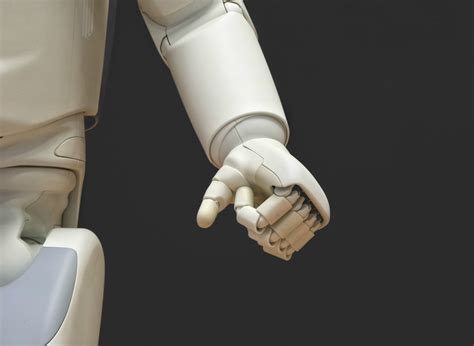 The Emotional Curse of Robotic Limbs: Coping with Loss and Grief